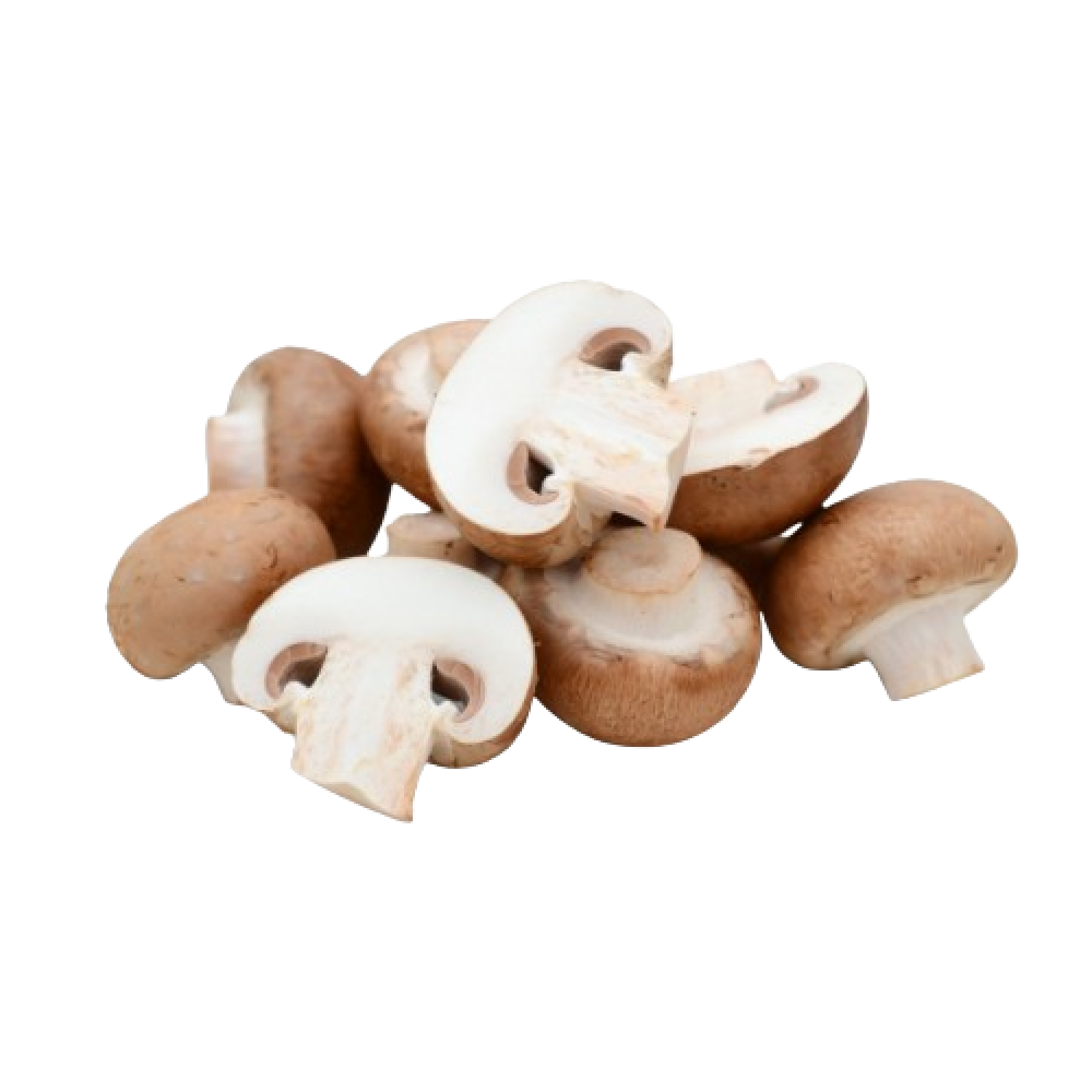 مشروم بني هولندي