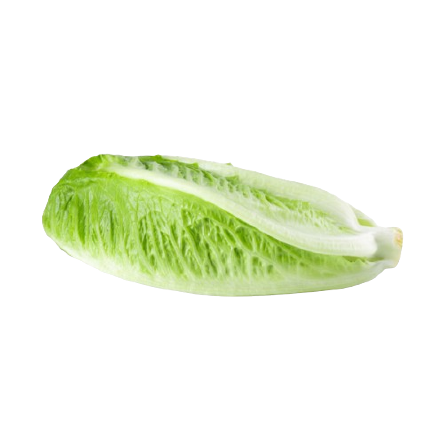 LETTUCE ROMAINE HEART USA