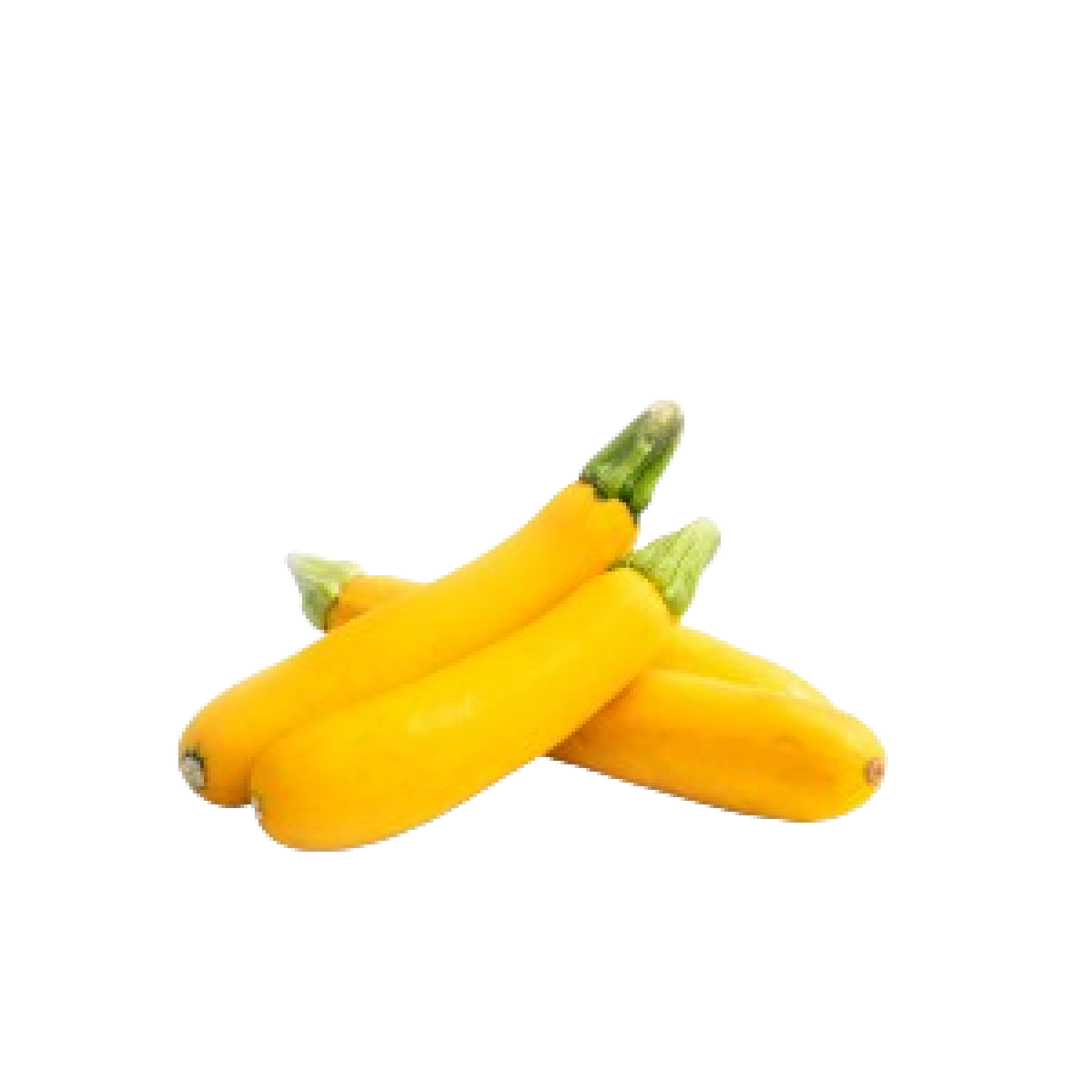 كوسة صفراء هولندية