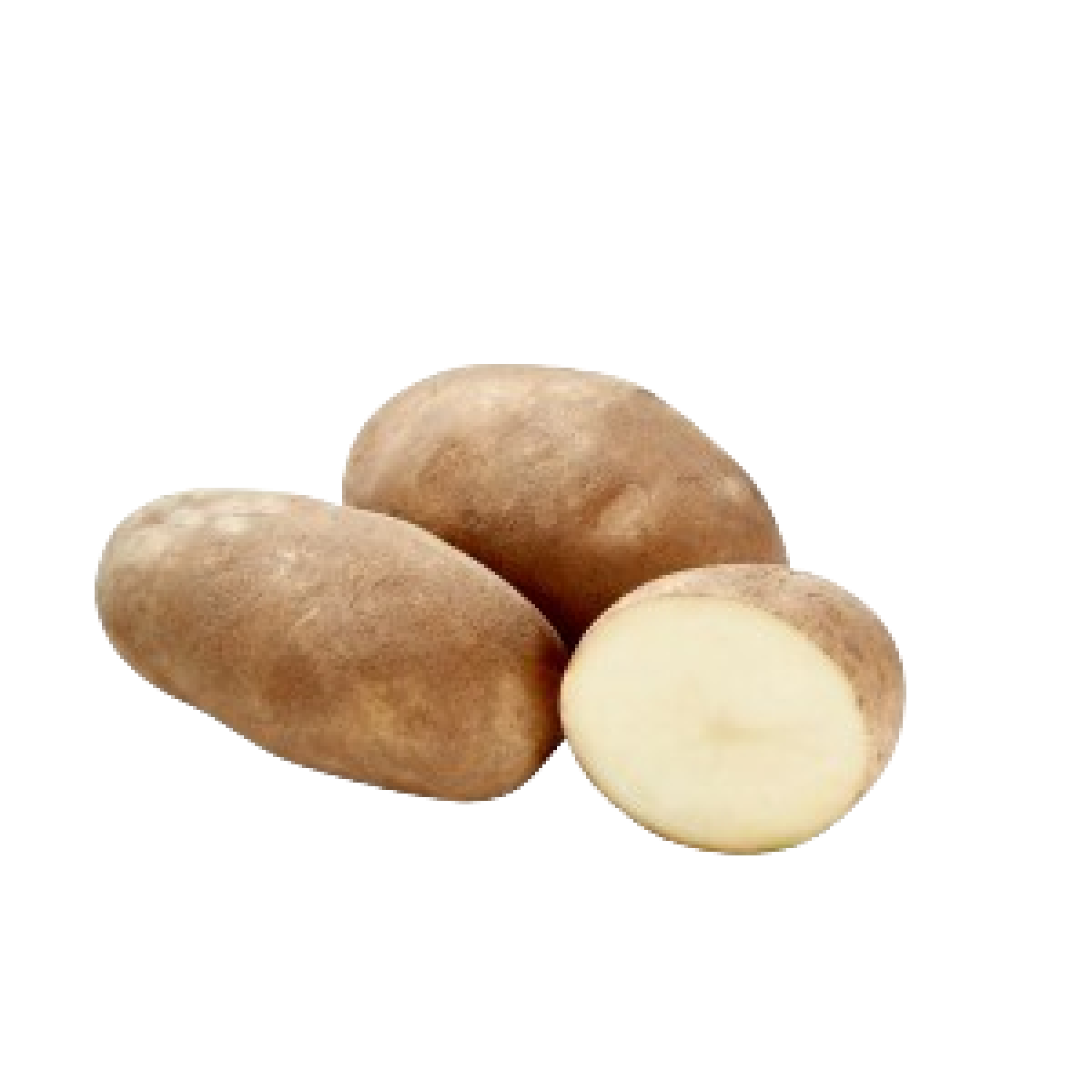 بطاطس اداهو امريكي