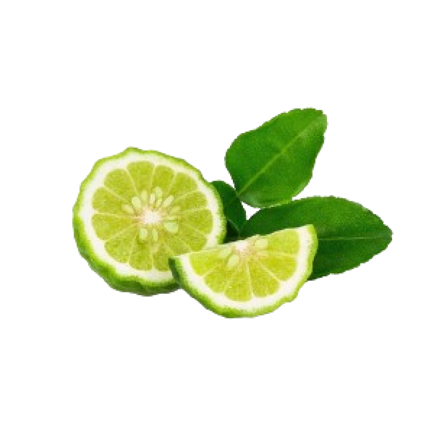 اوراق الليمون الطازجه