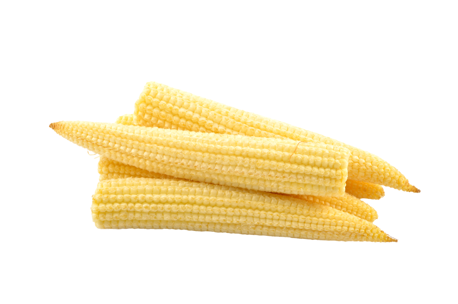 BABY CORN TH