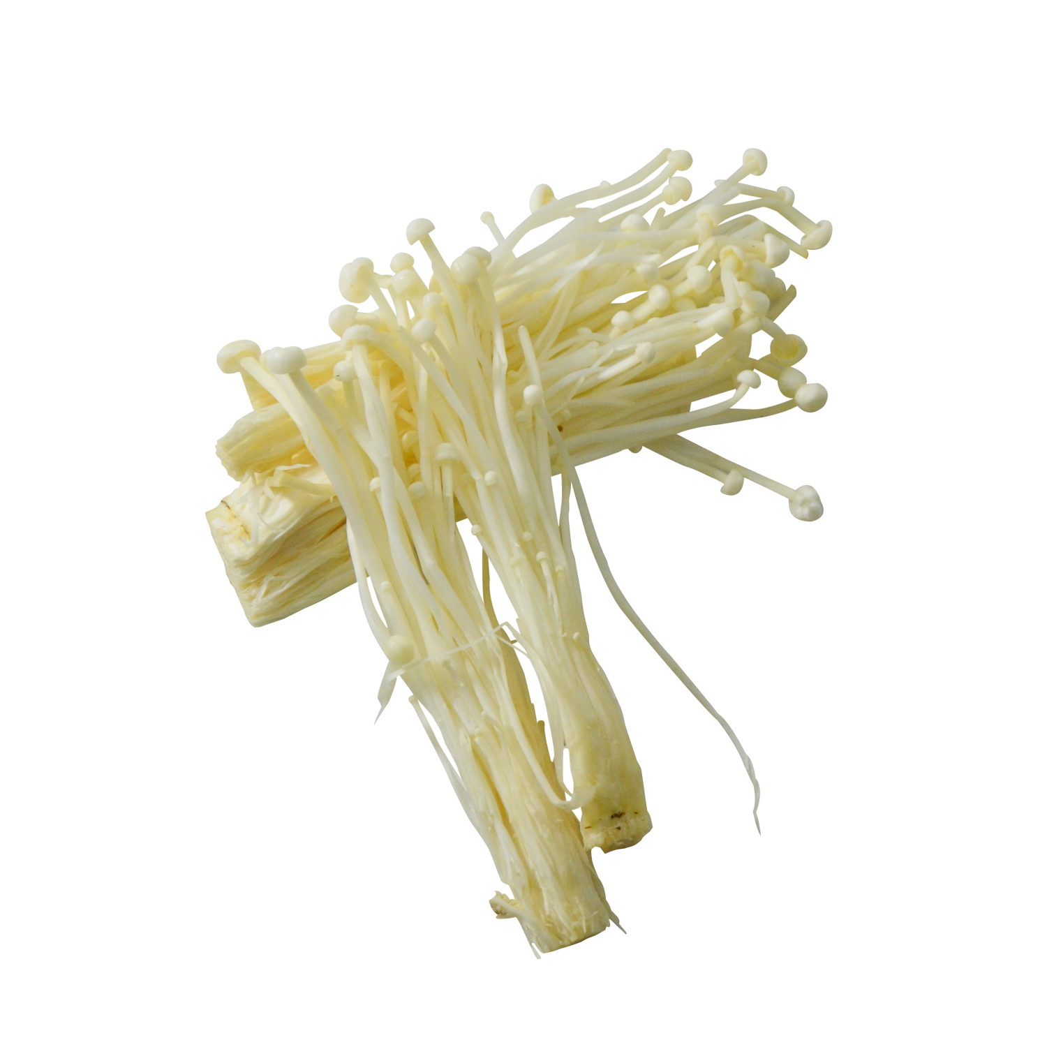 mushroom enoki Holland