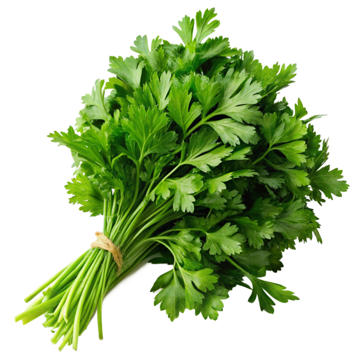 PARSLEY LOCAL 