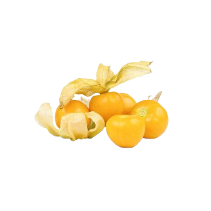 physalis