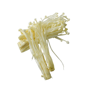 mushroom enoki Holland