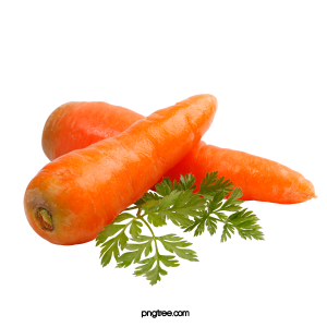 CARROT